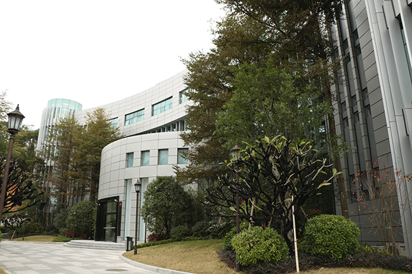 About Our Company